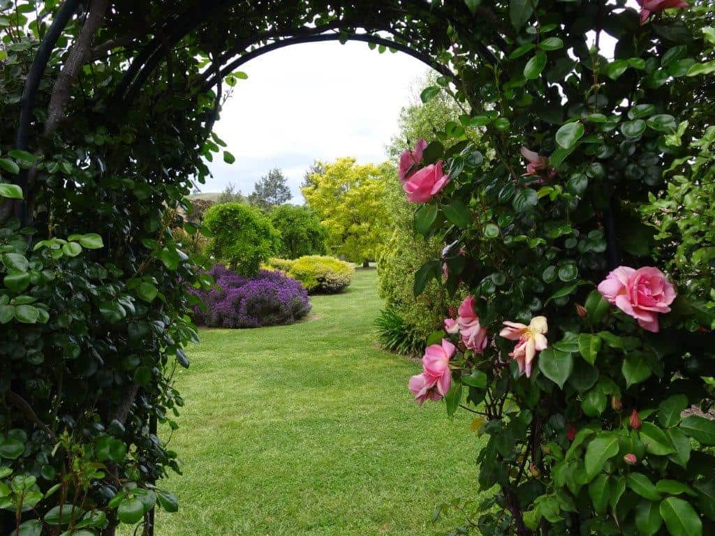 Jenny & Peter Fisher's Garden ~ Yarck