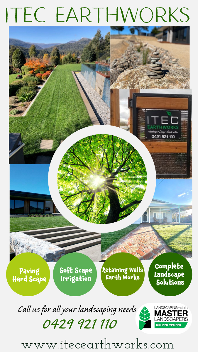 ITEC - Advertisment - Feb 2025