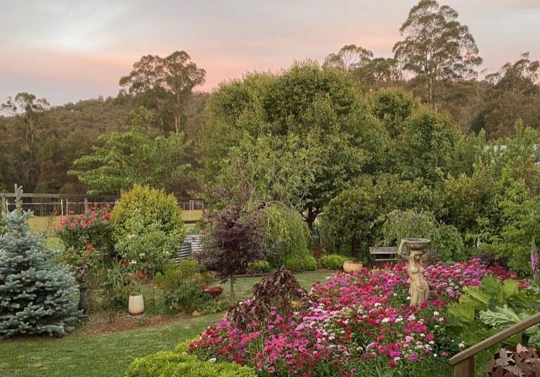 Backyard with bright coloured flowers