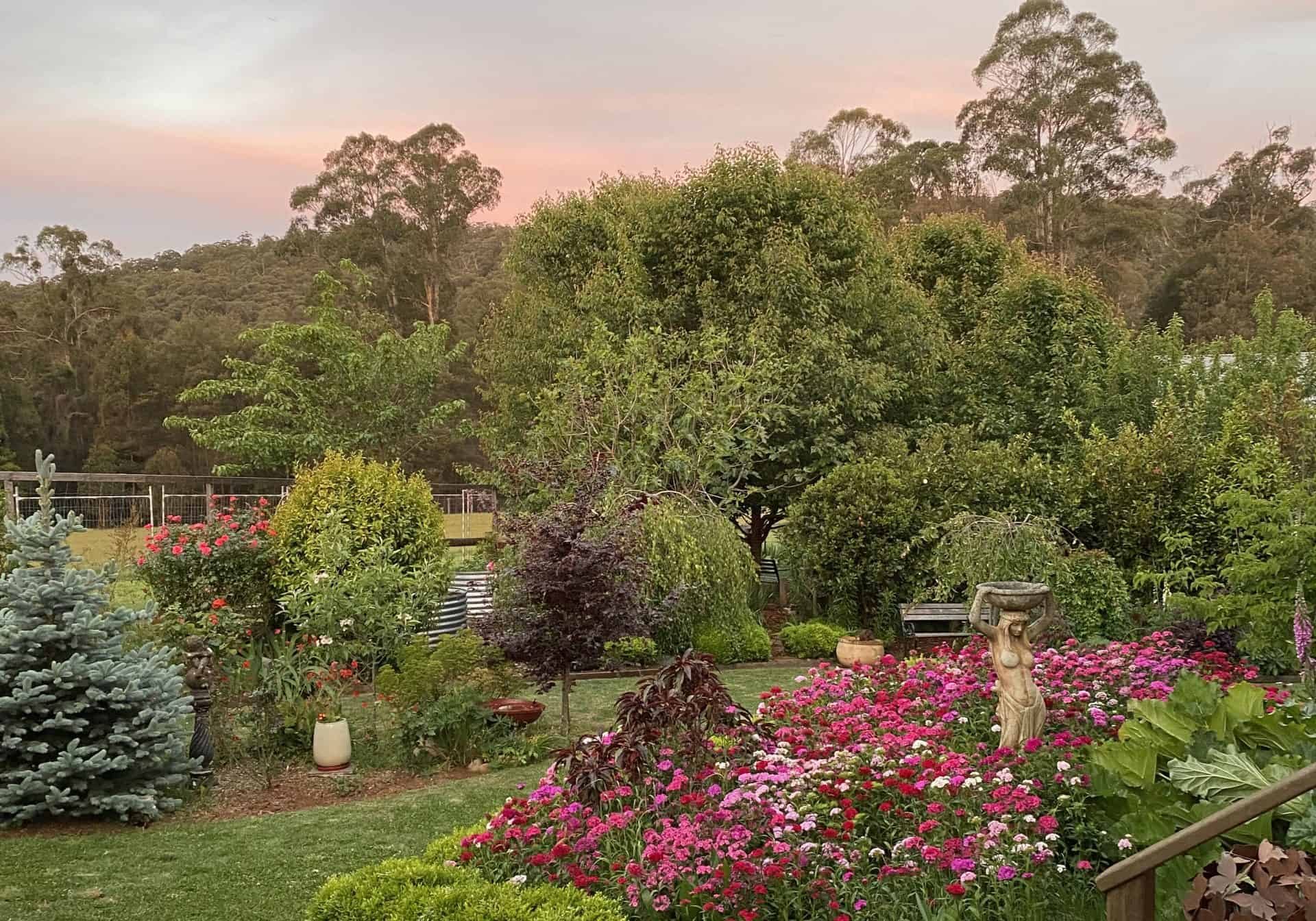 Backyard with bright coloured flowers